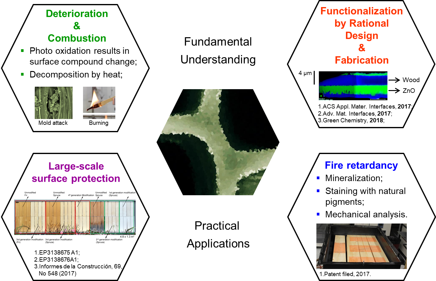 Overview of Wood-Inorganic Hybrid Materials Group